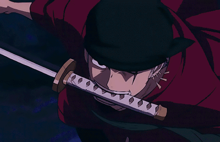 Roronoa Zoro Epic Battle Scene GIF