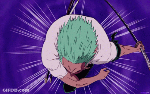 Roronoa Zoro Fighting Scene GIF