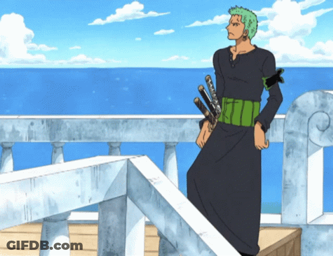 Roronoa Zoro In Ship GIF