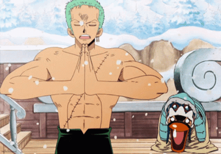 Roronoa Zoro In Snow GIF