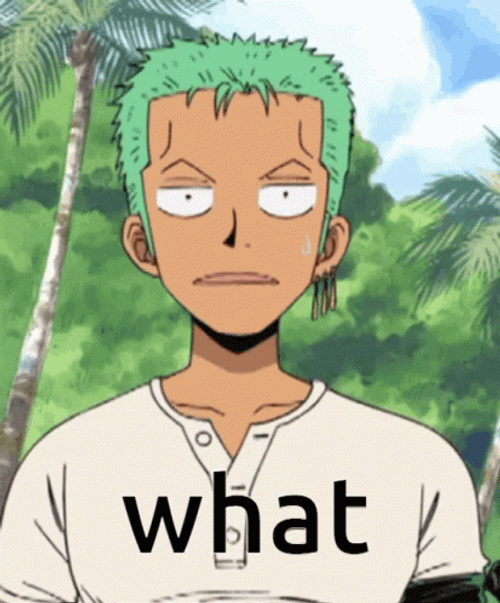 Roronoa Zoro What Meme GIF