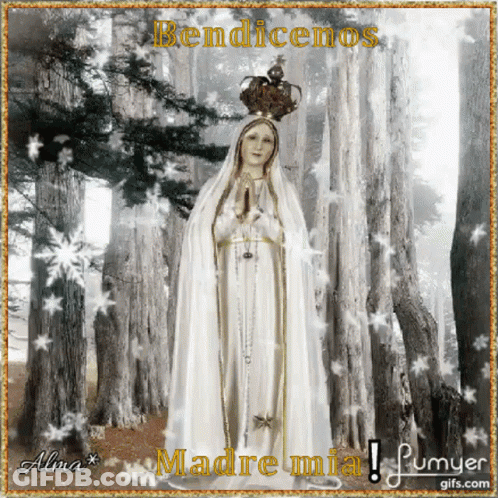 Rosario Por La Paz Mundial GIF