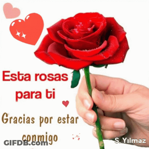 Rosas For You GIF