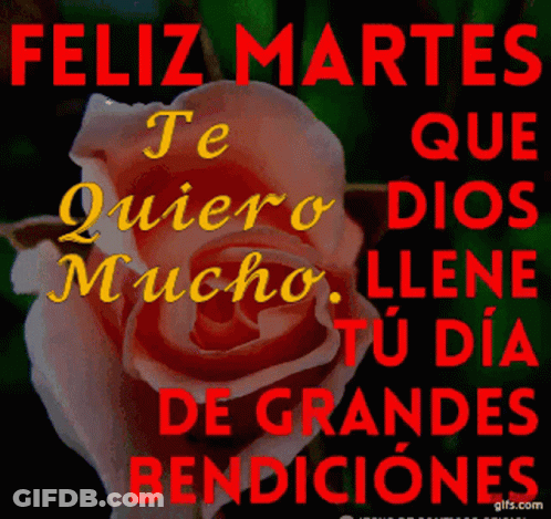 Rose Feliz Martes GIF