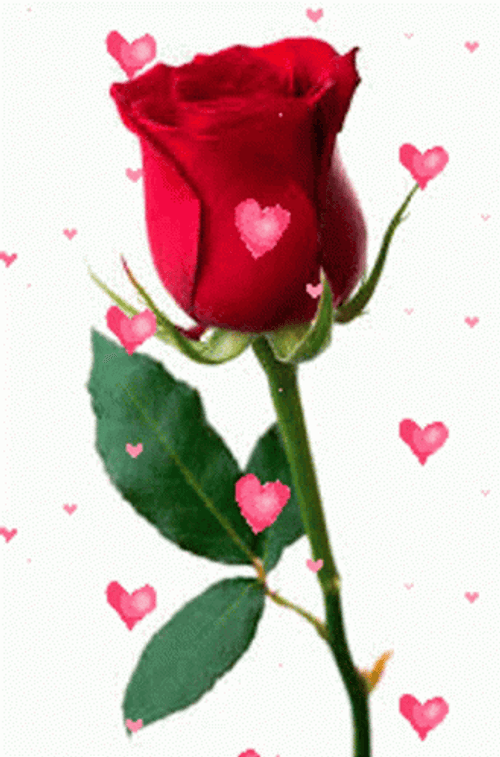 Rose Flores Floating Heart Emoji GIF