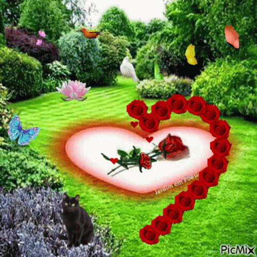 Rose Forming Corazon GIF