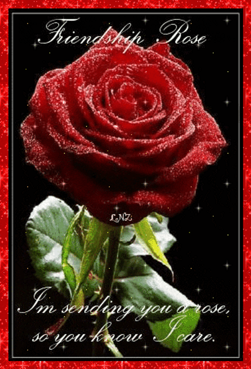 Rose Friendship Day GIF