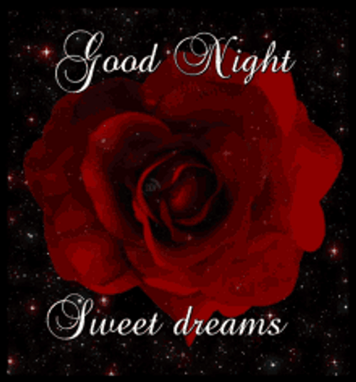 Rose In The Dark Good Night Sweet Dreams GIF