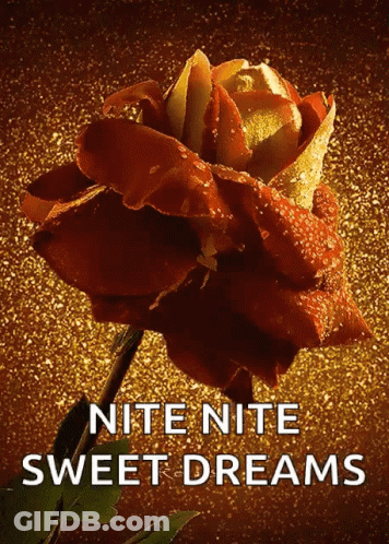 Rose Nite Nite Sweet Dreams GIF