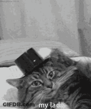 Rose Saying Goodnight Sweet Dreams Beautiful Love You GIF