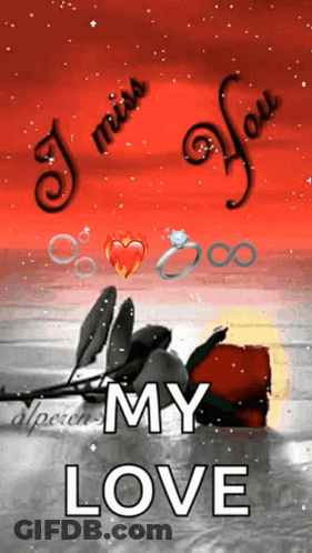 Rose Saying I Miss You GIF