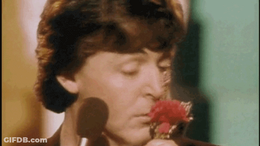 Rose Scent Sniff GIF