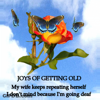 Rose With Butterflies And Joys Of Getting Old GIF