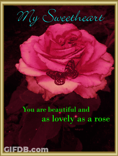 Rose With Butterfly Saying My Sweetheart GIF