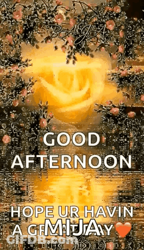 Rose With Good Afternoon Hope You Have A Gemjay GIF