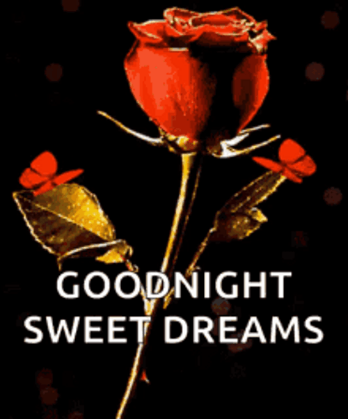 Rose With Red Butterflies Good Night GIF
