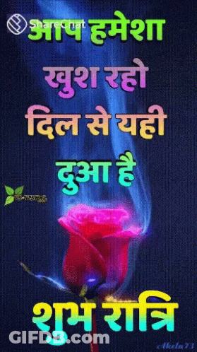 Rose With Sharechat GIF