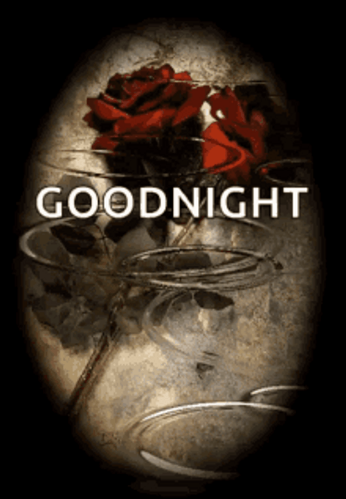 Rose With Water Riffle Effect Good Night GIF
