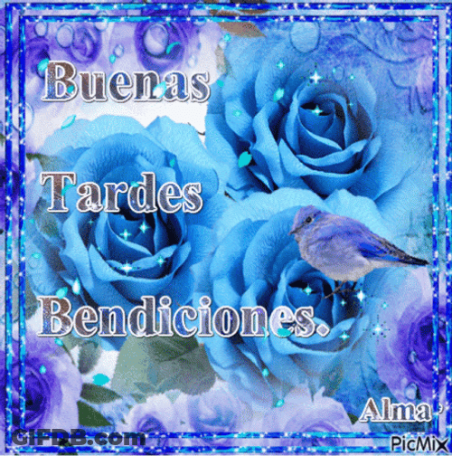 Roses And Bird Buenas Tardes Bendiciones GIF