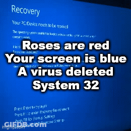 Roses Are Red Your Screen Is Blue Virus Deleted System 32 GIF