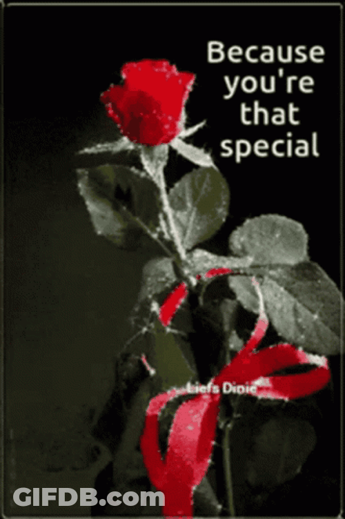 Roses Because You're That Special GIF