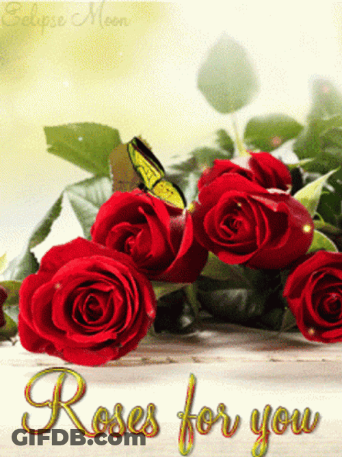 Roses For You My Love GIF