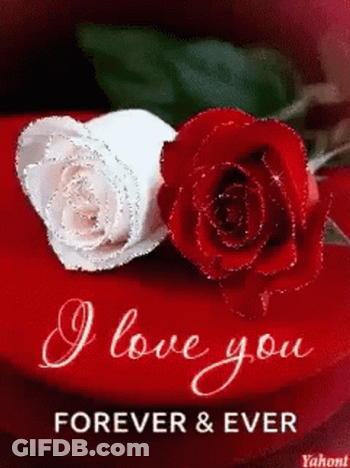 Roses I Love You Forever And Ever GIF