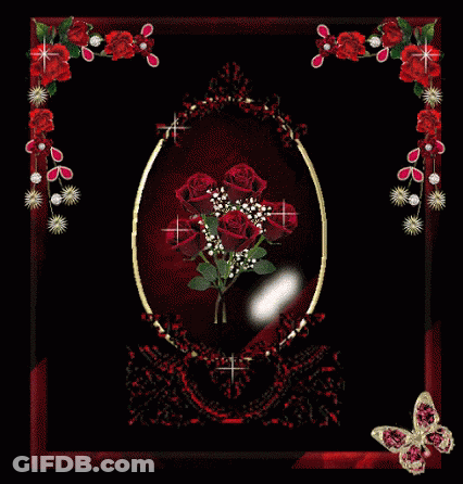 Roses In Red Frame With Butterfly GIF