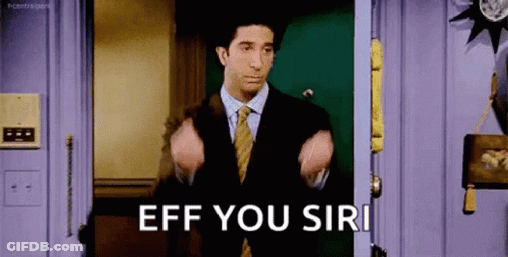 Ross Geller Eff You Siri GIF