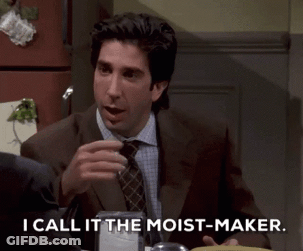 Ross Geller I Call It The Moist Maker GIF