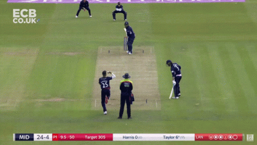 Ross Taylor Low Bat Swing GIF