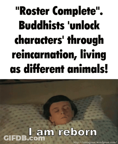 Roster Complete Buddhists Unlock Characters Through Reincarnation Living As Different Animals GIF