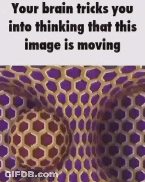 Rotating Big Brain Tricks Meme GIF