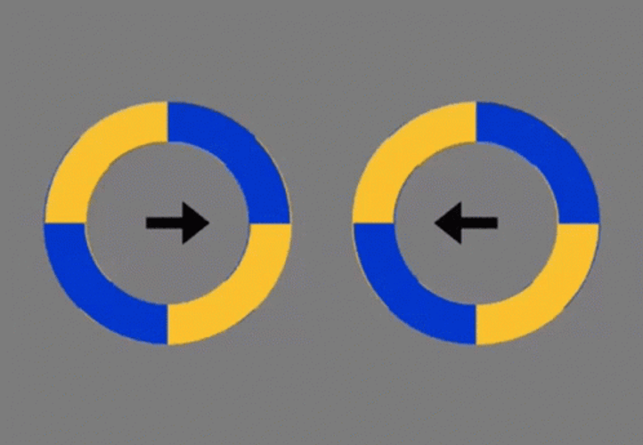 Rotating Circles Optical Illusion GIF