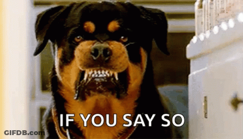 Rottweiler Dog Sitting By Refrigerator With Mouth Open GIF