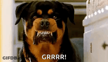 Rottweiler Mouth Open Saying Grrr GIF
