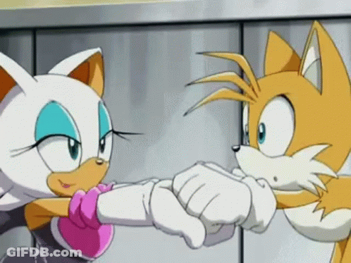 Rouge The Bat And Tails The Fox Shaking Hands GIF