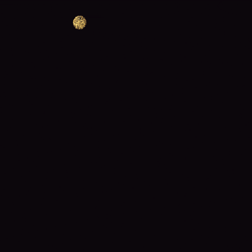 Round Big Sparklers GIF
