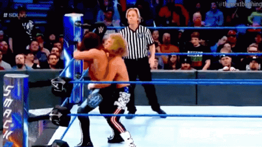 Roundhouse Kick Kevin Owen GIF