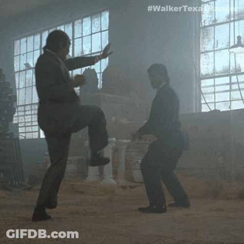 Roundhouse Upper Kick GIF