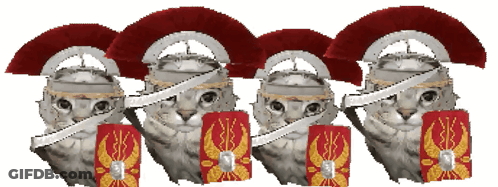 Row Of Cats Wearing Helmets And Shields GIF