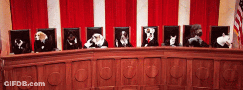 Row Of Dogs And Cats Sitting At Table GIF
