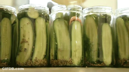 Row Of Jars Filled With Pickles GIF