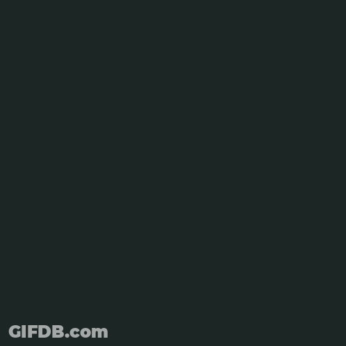 Row Of Pumpkins Saying Light Up Those Pumpkins And Stock Up On Candy GIF