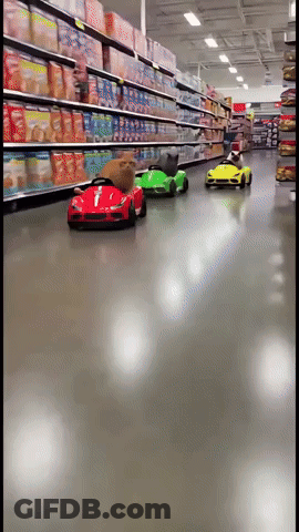 Row Of Toy Cars Driving Down Store Aisle GIF