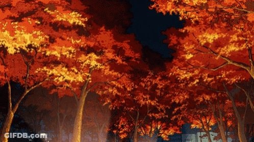 Row Of Trees With Red Leaves Lit Up At Night GIF