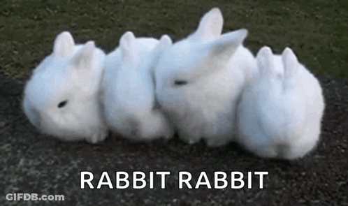 Row Of White Rabbits GIF