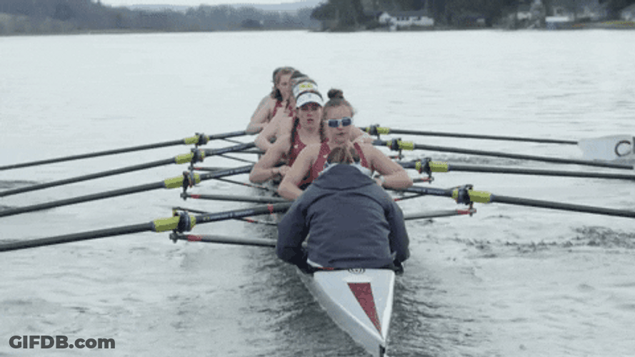 Rowing Machine Form Rowing Team Work GIF