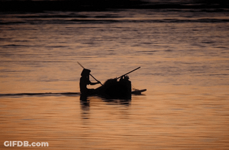 Rowing Machine Form Silhouette GIF