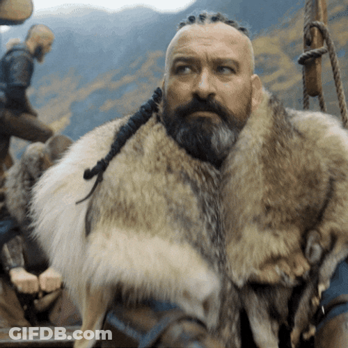 Rowing Machine Form Vikings Row GIF